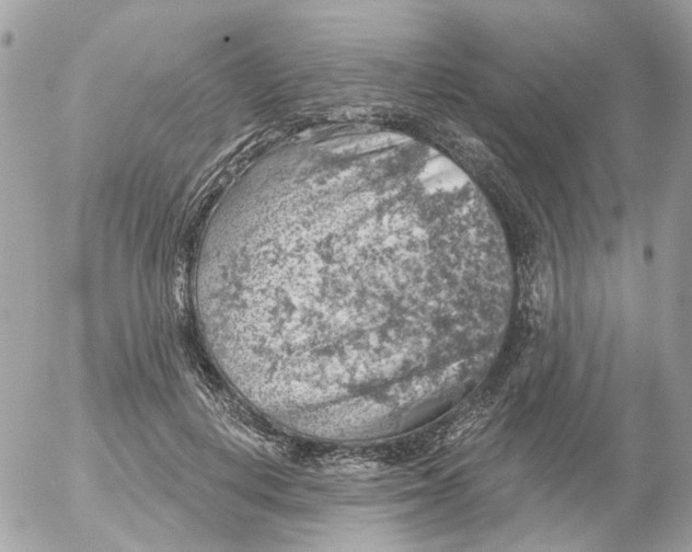 X0000052570648200507292007