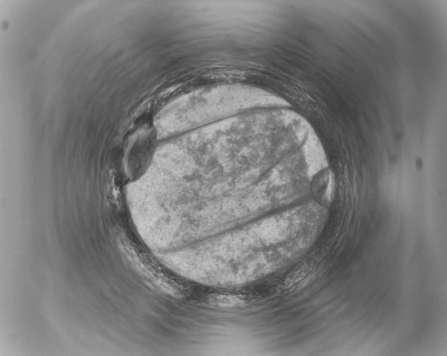 X0000052570649200507292007