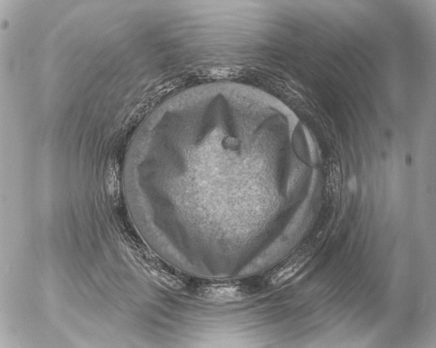 X0000052570651200507292007