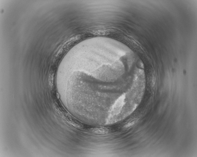 X0000052570652200507292007