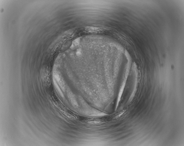 X0000052570653200507292007