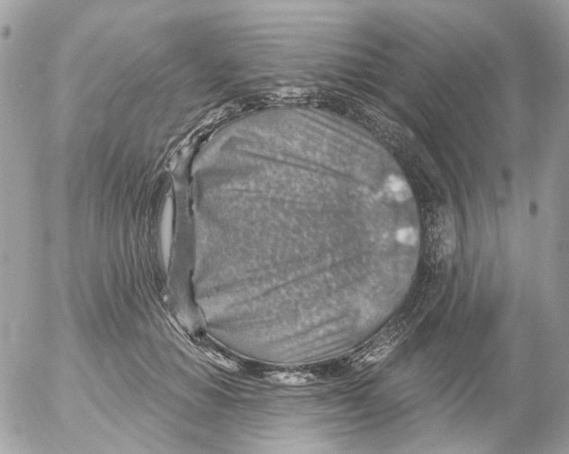 X0000052570654200507292007