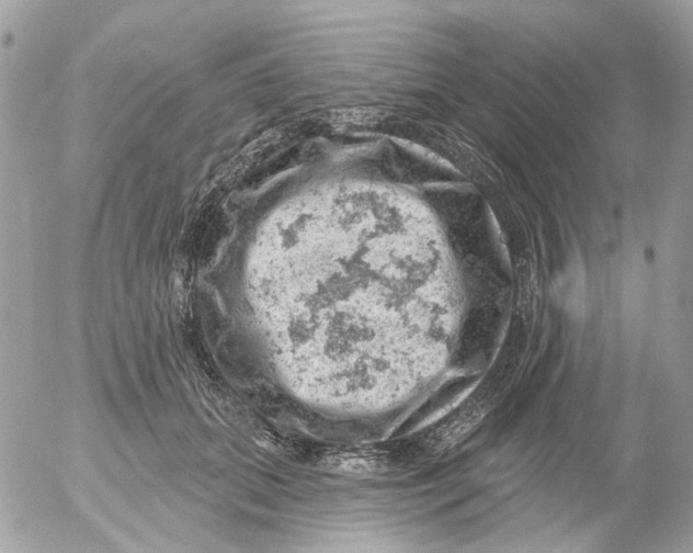 X0000052570655200507292007