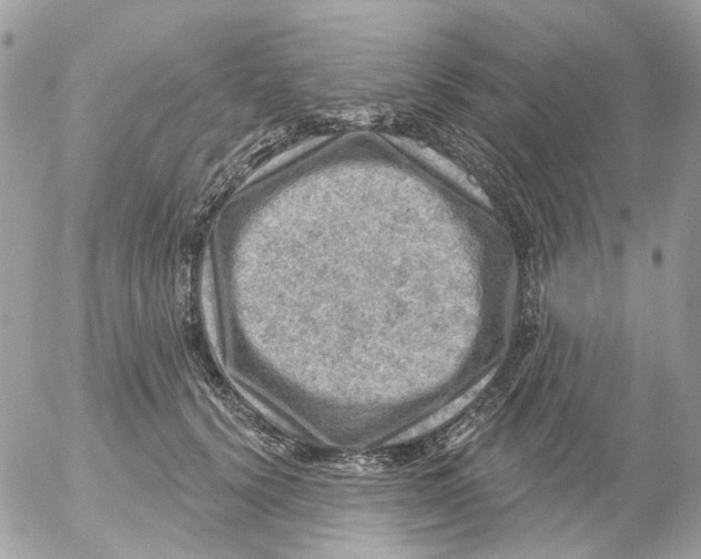 X0000052570656200507292008