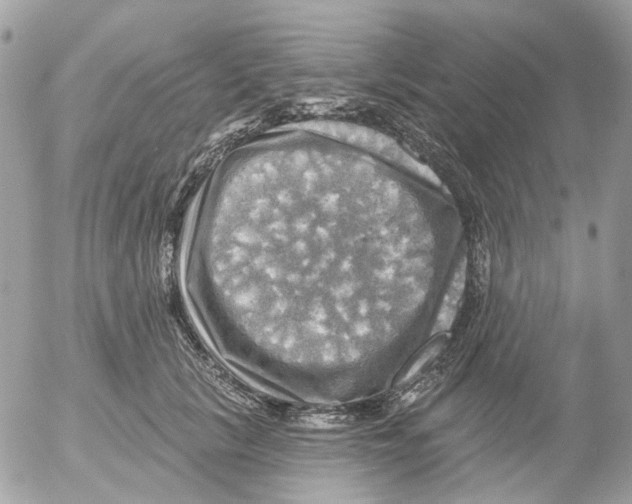 X0000052570657200507292008