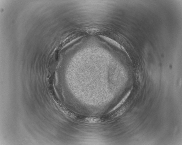 X0000052570660200507292008