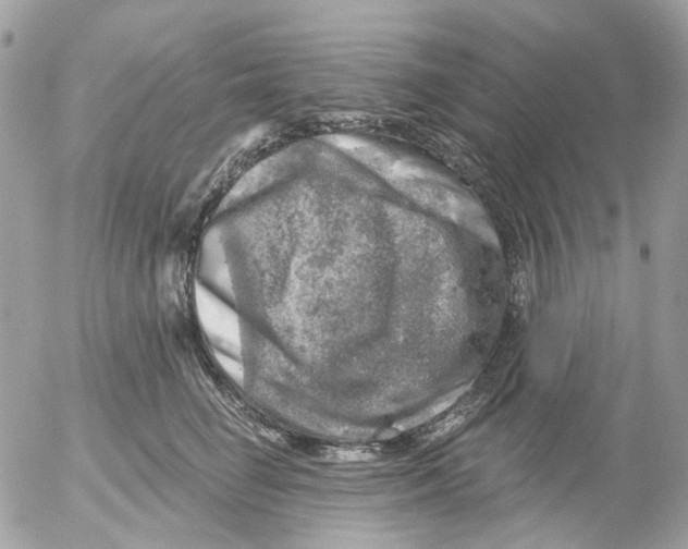 X0000052570662200507292008