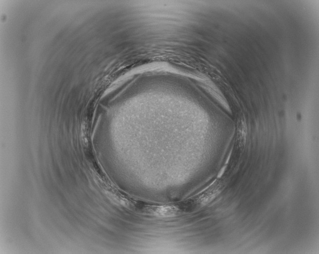 X0000052570663200507292008