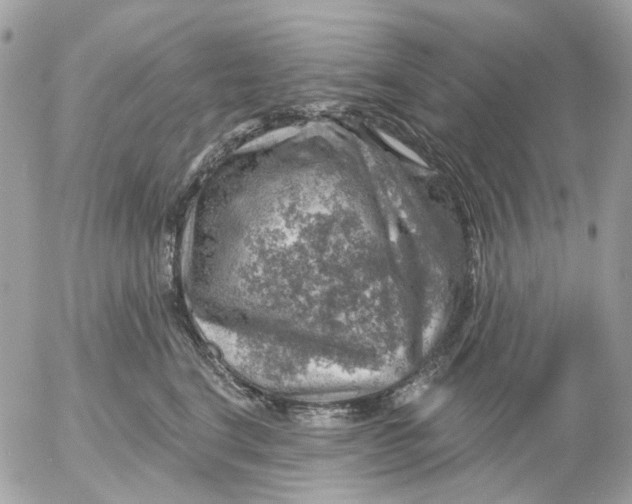 X0000052570664200507292008