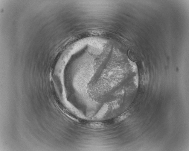 X0000052570666200507292008