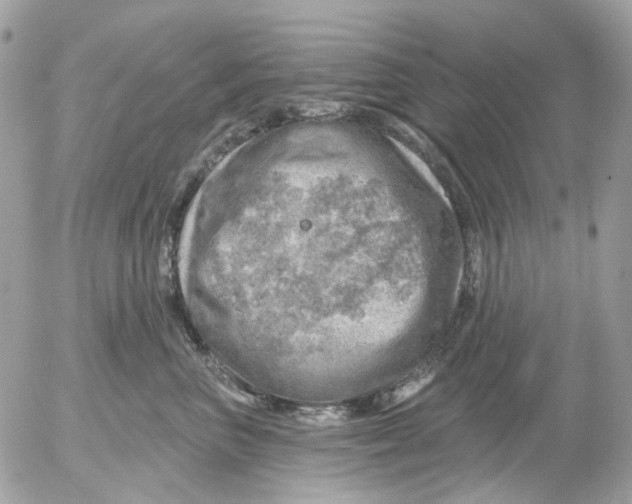 X0000052570667200507292008