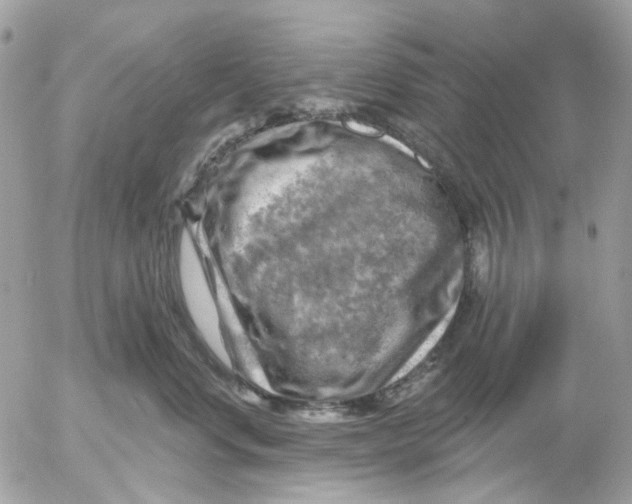 X0000052570668200507292008