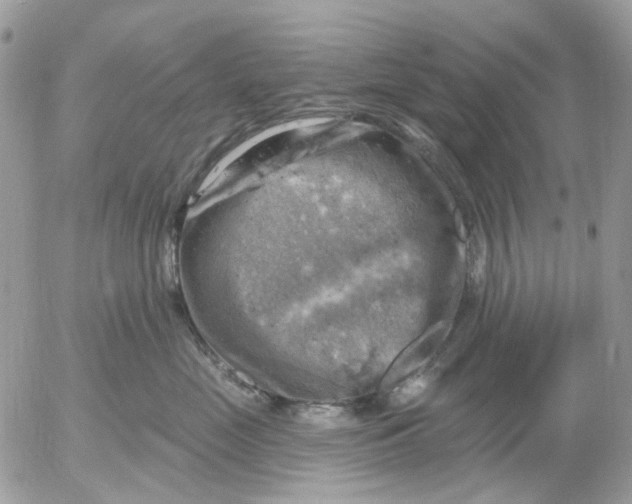 X0000052570669200507292008