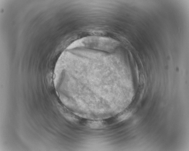 X0000052570671200507292008