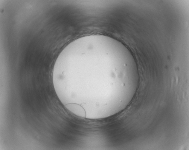 X0000052570672200507292008