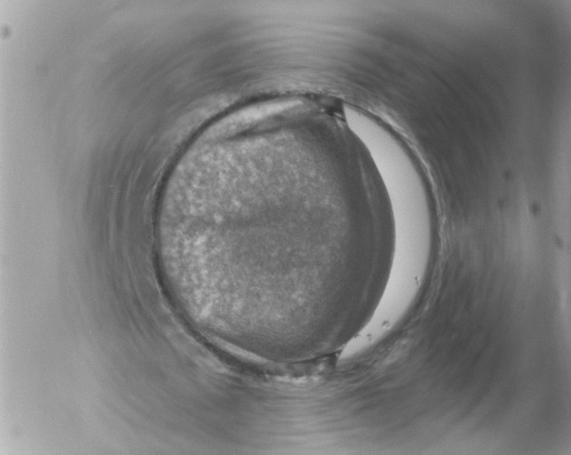 X0000052570673200507292007