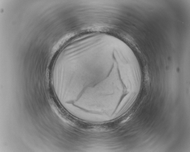 X0000052570678200507292007