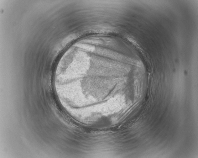 X0000052570679200507292007