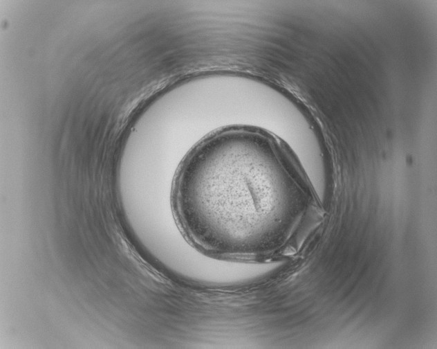 X0000052570681200507292007