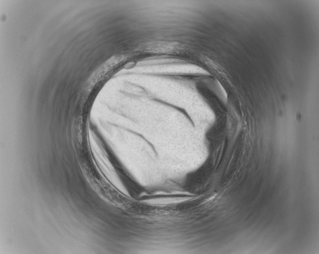 X0000052570682200507292007