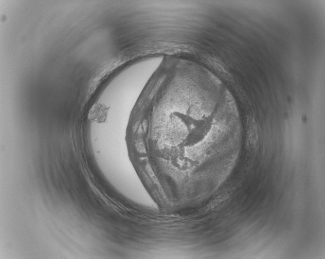 X0000052570683200507292007