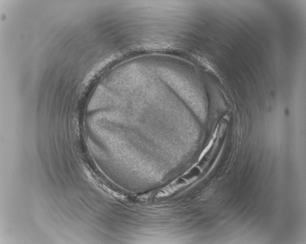 X0000052570684200507292007