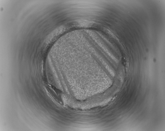 X0000052570685200507292007