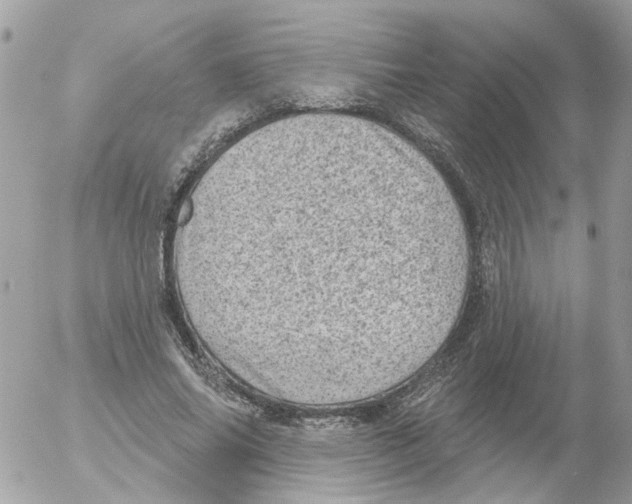 X0000052570686200507292007