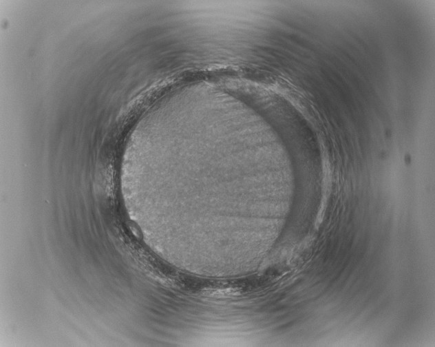 X0000052570689200507292007