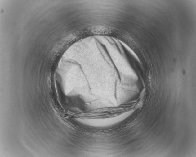 X0000052570690200507292007