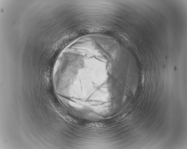 X0000052570691200507292007