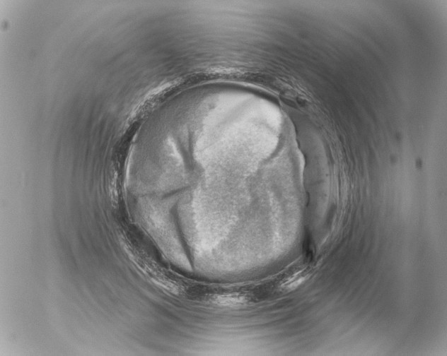 X0000052570692200507292007