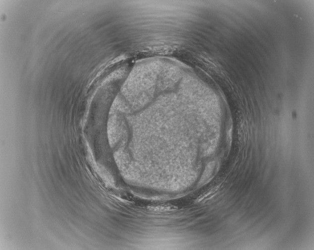 X0000052570693200507292007