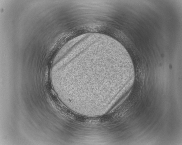 X0000052570694200507292007