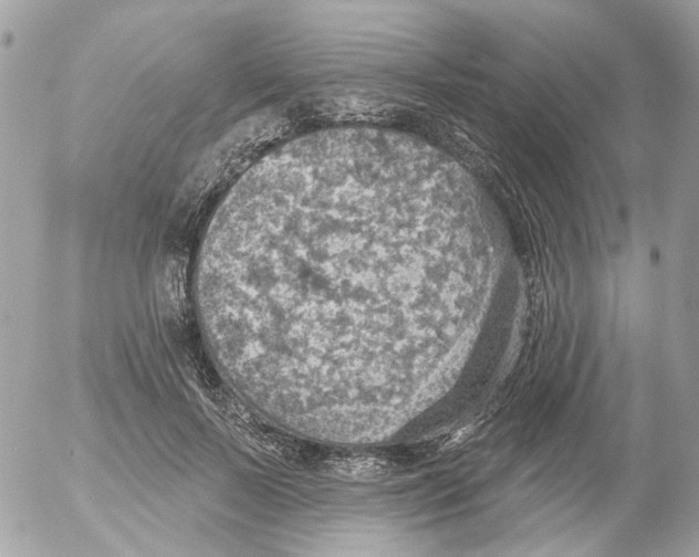 X0000052570695200507292007