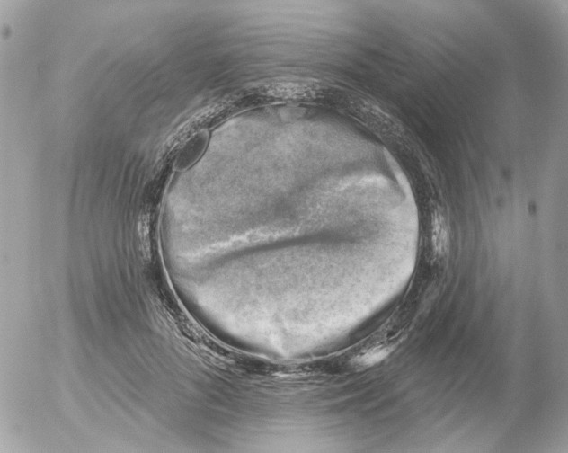 X0000052570696200507292007