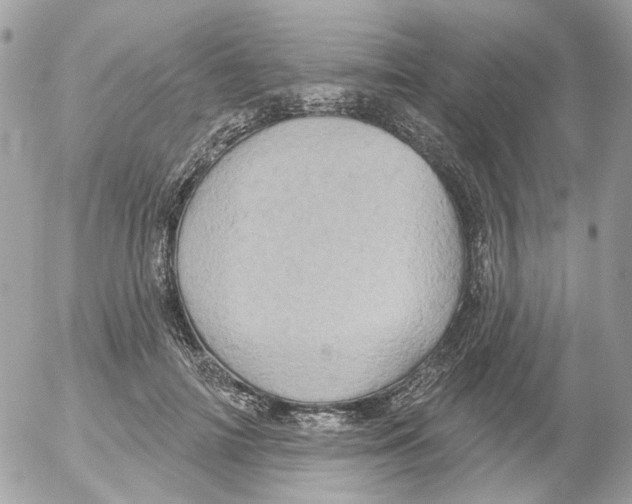 X0000052570698200507292007