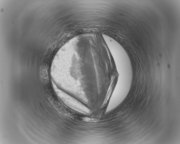 X0000052570699200507292007