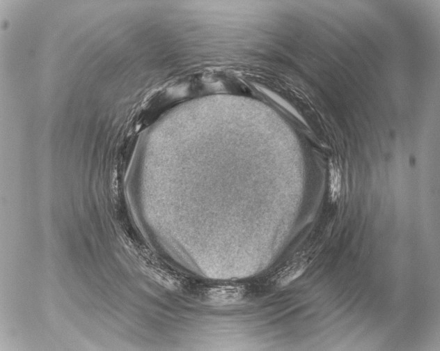 X0000052570700200507292007