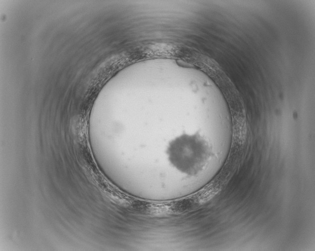 X0000052570701200507292007