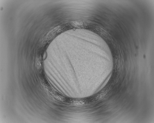 X0000052570702200507292007