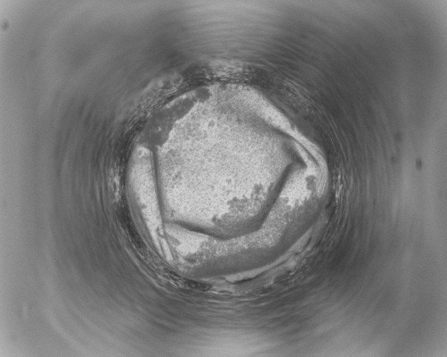 X0000052570703200507292006