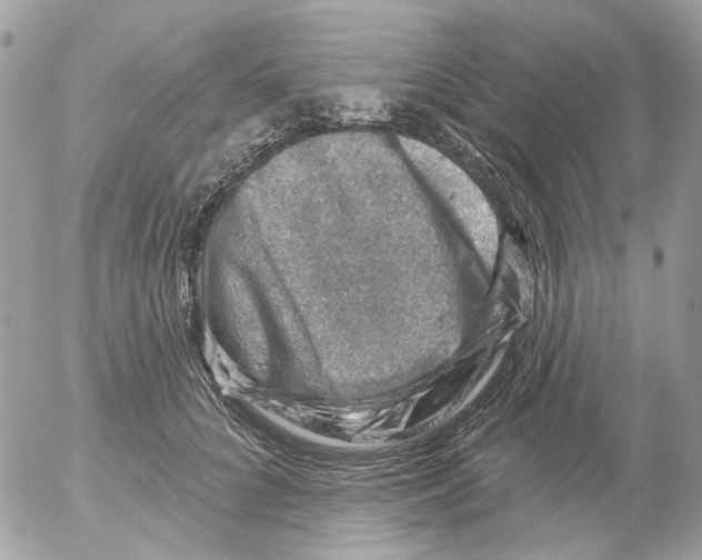 X0000052570704200507292006