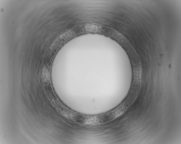 X0000052570705200507292006