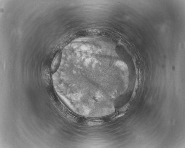 X0000052570707200507292006