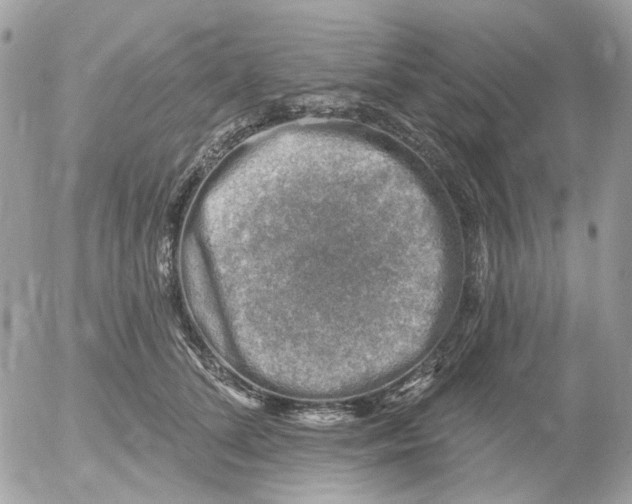 X0000052570708200507292006