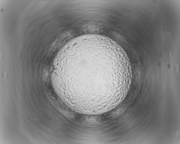 X0000052570709200507292006