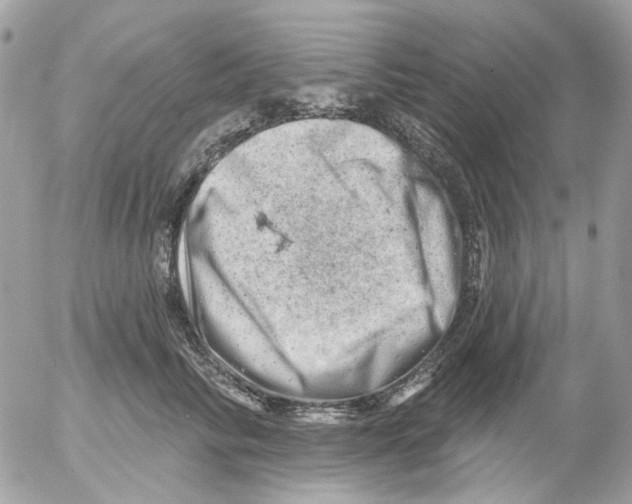 X0000052570710200507292006