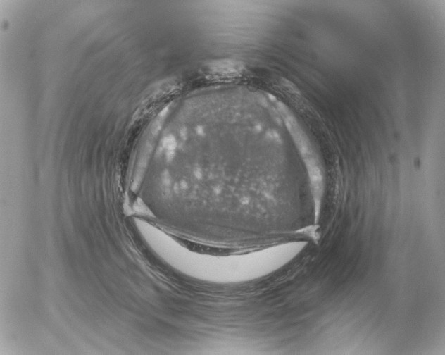 X0000052570711200507292006