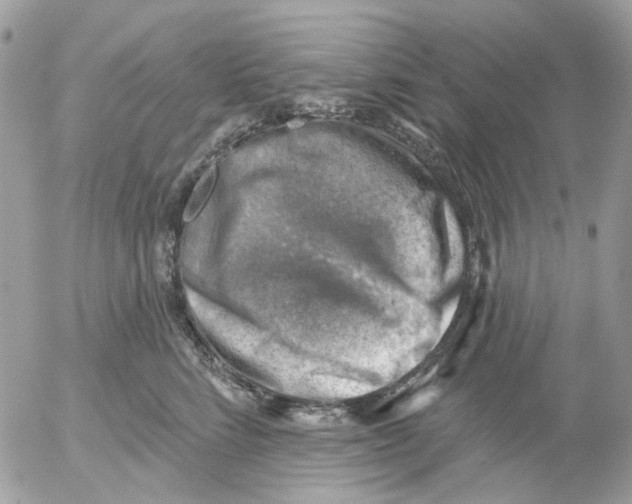 X0000052570712200507292006